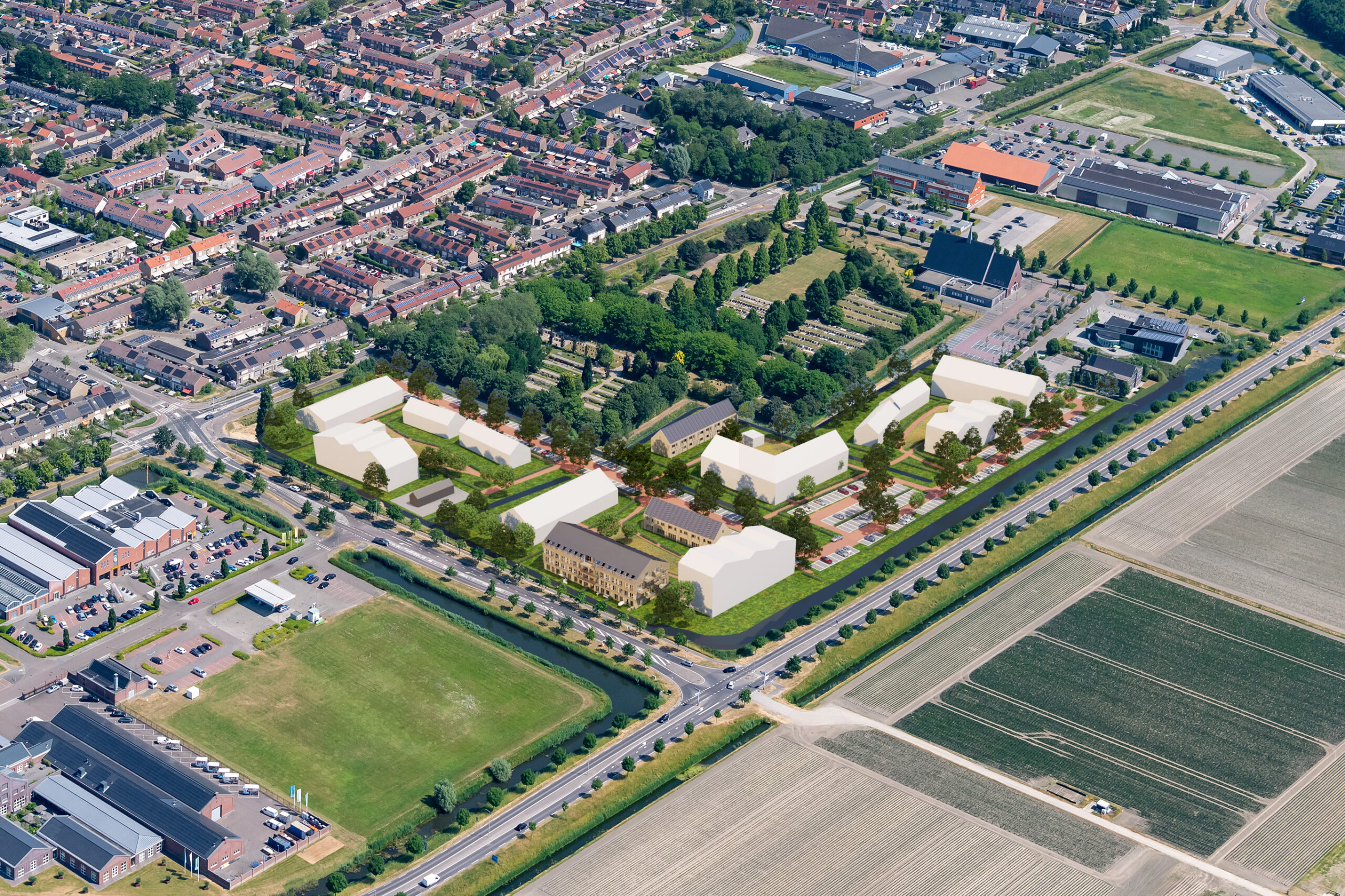 Middelharnis – Menheerse Erf – Madelief – Klaproos