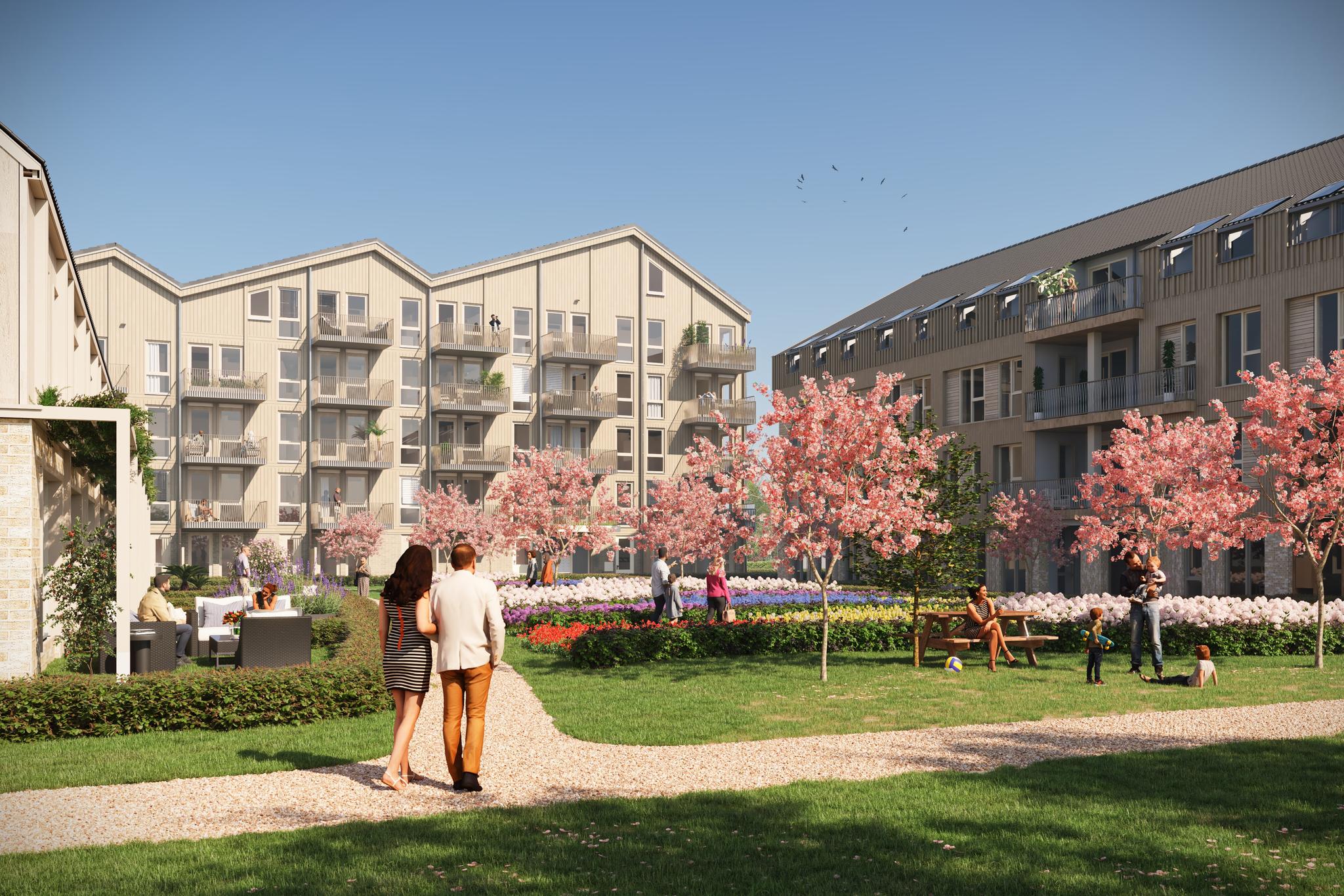 Middelharnis – Menheerse Erf- de Tulp