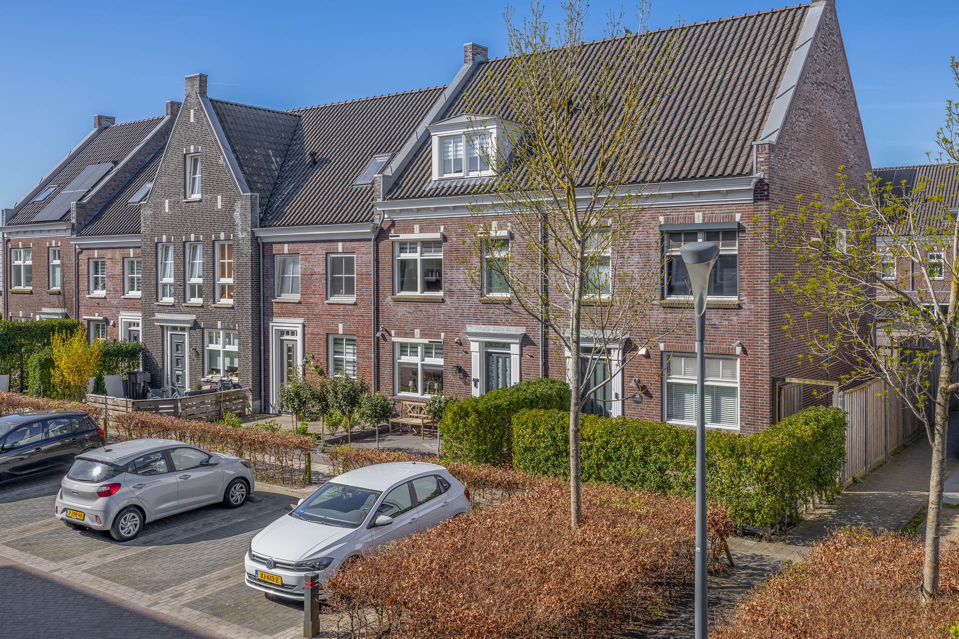 Dirksland – Forsythia 38